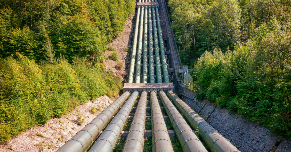 Image of four oil pipelines running through forest