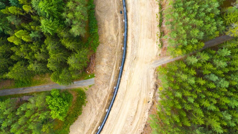 Image of pipeline running through green forest